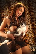 Foto Annunci Escort Verbania Alessa Venezuelana - 34