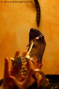 Foto Annunci Mistress Marina Di Carrara Lady De Sade Italy - 6