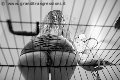 Foto Annunci Mistress Verona Lady Giuliette - 16