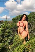 Foto Annunci Trans Gallarate Alessandre Xxii - 34