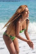 Foto Annunci Trans Liisa Asiatica Ladyboy - 320