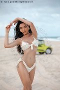 Foto Annunci Trans Modena Vanessa Hilton - 101