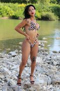 Foto Annunci Trans Paese Adriana Paulett - 81