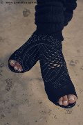 Foto Annunci Trans Ponte Chiasso Marcella Pops - 252