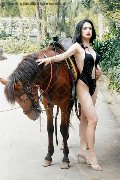 Foto Annunci Trans Pordenone Bianca Lady Boy - 4
