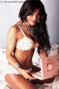 Foto Annunci Trans Quartucciu Belle Tigresse - 9