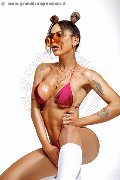 Foto Annunci Trans Roma Bruna Dantas - 38
