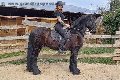 Foto Annunci Trans Treviso Valeria - 72