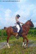 Foto Annunci Trans Treviso Valeria - 75