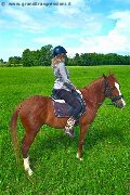Foto Annunci Trans Treviso Valeria - 76