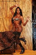Foto Annunci Trans Vercelli Alessandra Gatta Nera - 54