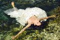 Foto Annunci Transescort Ginevra Victoria Luxo - 63