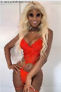 Foto Annunci Transescort Milano Virna La Super Dotata - 2
