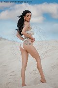 Foto Annunci Transescort Modena Vanessa Hilton - 103