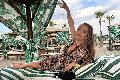 Foto Annunci Transescort Napoli Rafaella Menicucci Xxl - 15