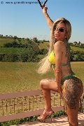 Foto Annunci Transescort Parma Bruna Xxl - 7