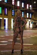 Foto Annunci Transescort Roma Ath�na - 16