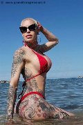 Foto Annunci Transescort Senigallia Luna Marks Pornostar - 1