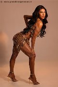 Foto Annunci Trav Milano Sophia Brasiliana Xxl - 14