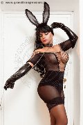 Foto Annunci Travescort Basilea Jady Cubana Anaconda - 3