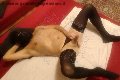 Foto Hot Annunci Mistress Lodi Lady Penelope - 13