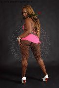 Foto Hot Annunci Trans Monza Nycolli - 1