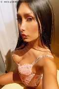 Vercelli Escort Sofia Novit 333 68 78 496 foto selfie 1