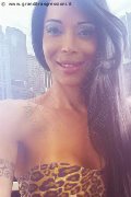 Bergamo Trans Erotika Flavy Star 338 79 27 954 foto selfie 22