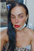 Brescia Trans Kartika 349 22 31 753 foto selfie 245