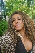 Mestre Trans Paolina Mulatta 333 29 10 933 foto selfie 17