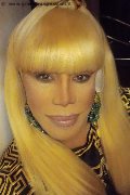 Milano Trans Nicole Vip Venturiny 353 35 38 868 foto selfie 505