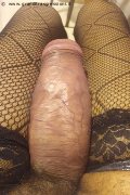 Milano Trans Virna La Super Dotata 349 43 93 969 foto selfie 7
