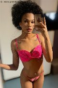 Novara Trans Miele 331 78 08 280 foto selfie 26