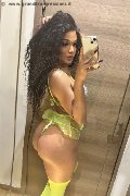 Novara Trans Miele 331 78 08 280 foto selfie 5