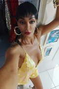 Padova Trans Kartika 349 22 31 753 foto selfie 245