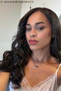 Bologna Trans Escort Victoria New 339 43 37 857 foto selfie 3