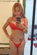  Trans Escort Brandy 388 38 60 479 foto selfie 31