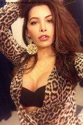  Trans Escort Katryne Sexy 320 27 24 045 foto selfie 19