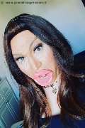  Trans Escort Lady B 340 83 17 576 foto selfie 34