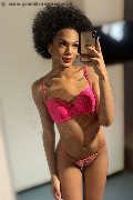 Legnano Trans Escort Miele 331 78 08 280 foto selfie 29