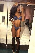 Legnano Trans Escort Miele 331 78 08 280 foto selfie 21