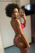 Legnano Trans Escort Miele 331 78 08 280 foto selfie 32