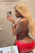 Milano Trans Escort Campbell 393 33 57 541 foto selfie 11