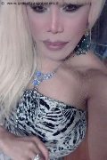 Milano Trans Escort Nicole Vip Venturiny 353 35 38 868 foto selfie 208