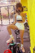 Milano Trans Escort Sofia Rabello 333 53 85 829 foto selfie 35