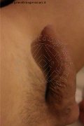 Parma Trans Escort Laviny Albuquerque Pornostar 389 00 19 370 foto selfie 179