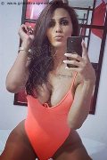 Somma Lombardo Trans Escort Nicolly Hilton 392 33 27 327 foto selfie 2