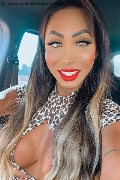 Verona Trans Escort Thayys Castro 329 72 89 046 foto selfie 77