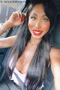 Verona Trans Escort Thayys Castro 329 72 89 046 foto selfie 74