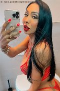 Verona Trans Escort Thayys Castro 329 72 89 046 foto selfie 48